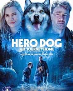 Hero Dog The Journey Home HDEuropix